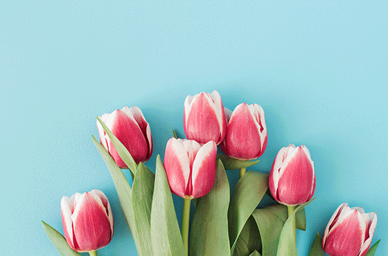 特色贴纸排版  助力创意